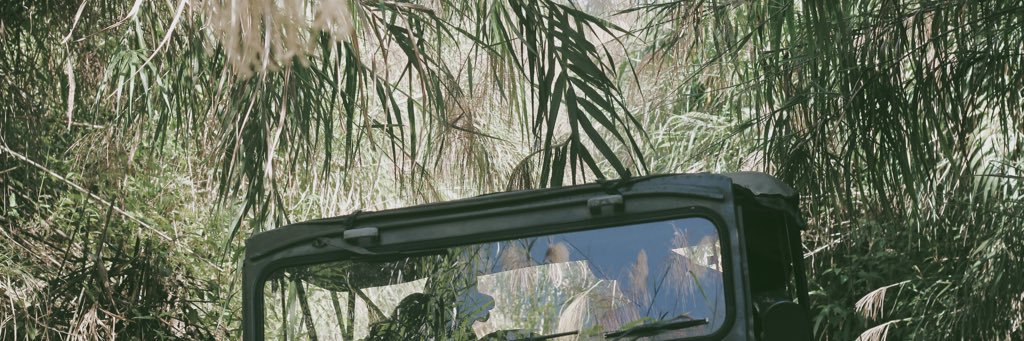 nicomd_'s profile banner image
