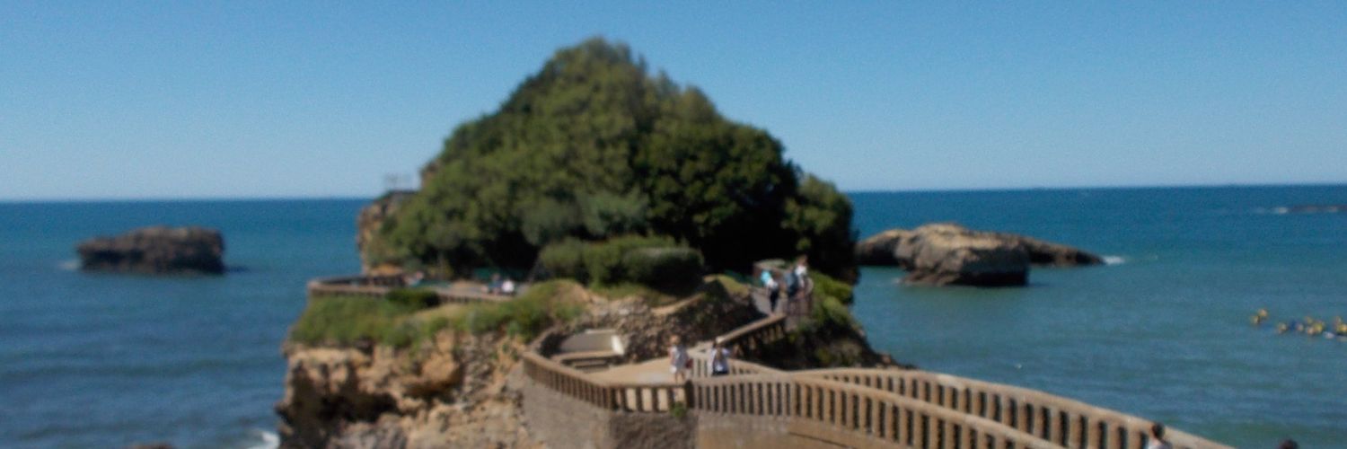 mѧňuєʟ ċѧsţѧñoň banner