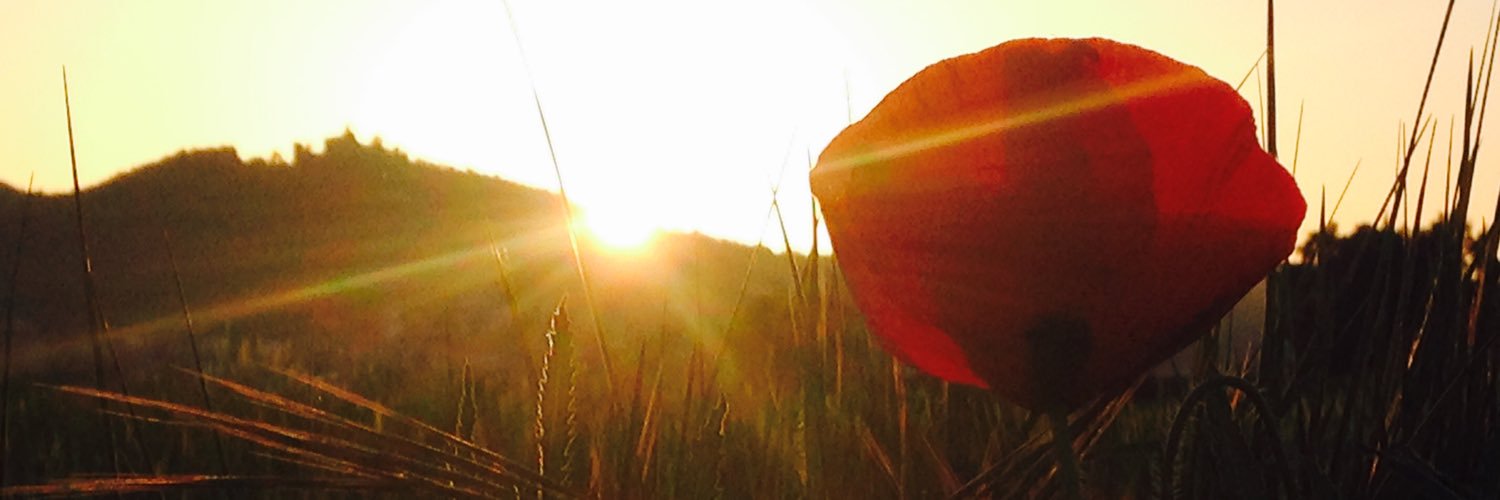mgoretti_sa's profile banner image