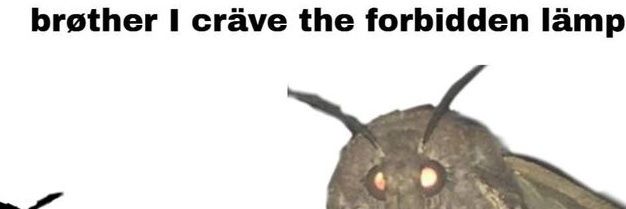 Crineofsomethan's profile banner image