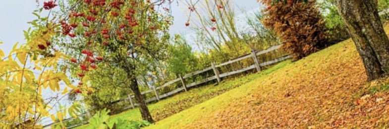 NBNMI2's profile banner image