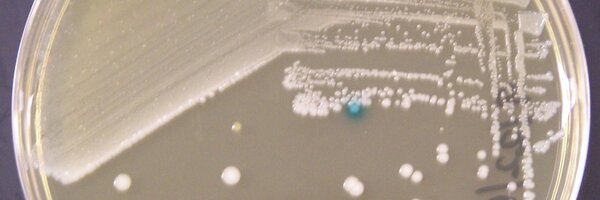 BSauders Profile Banner