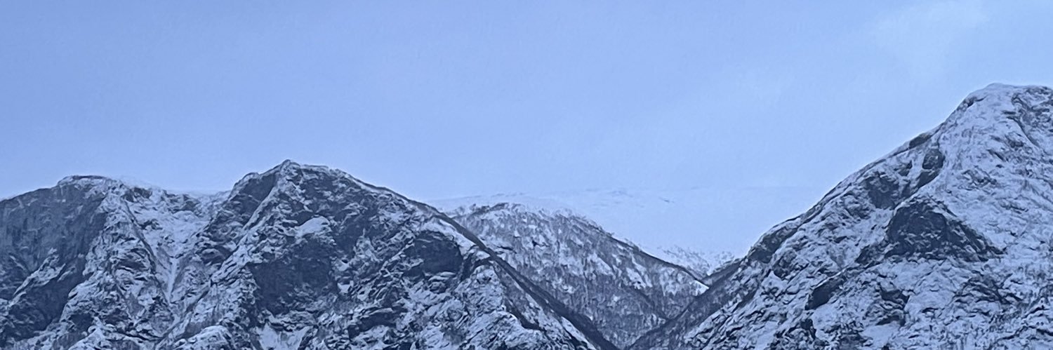 Michelle Færch banner