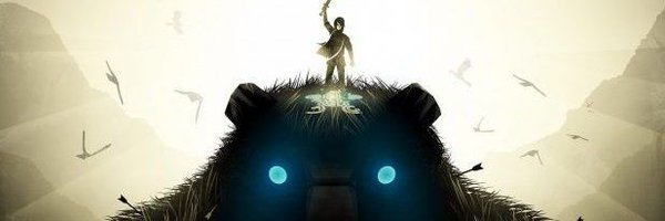 RaidenAuditore Profile Banner