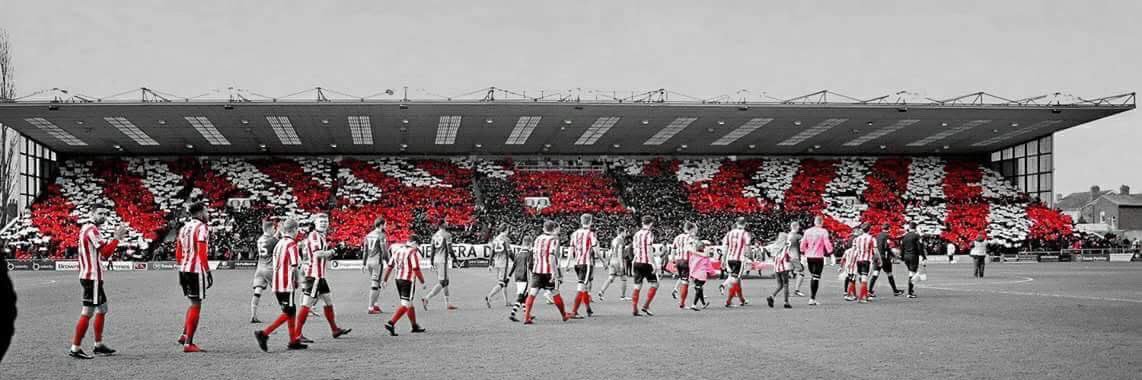 Michiedinho's profile banner image