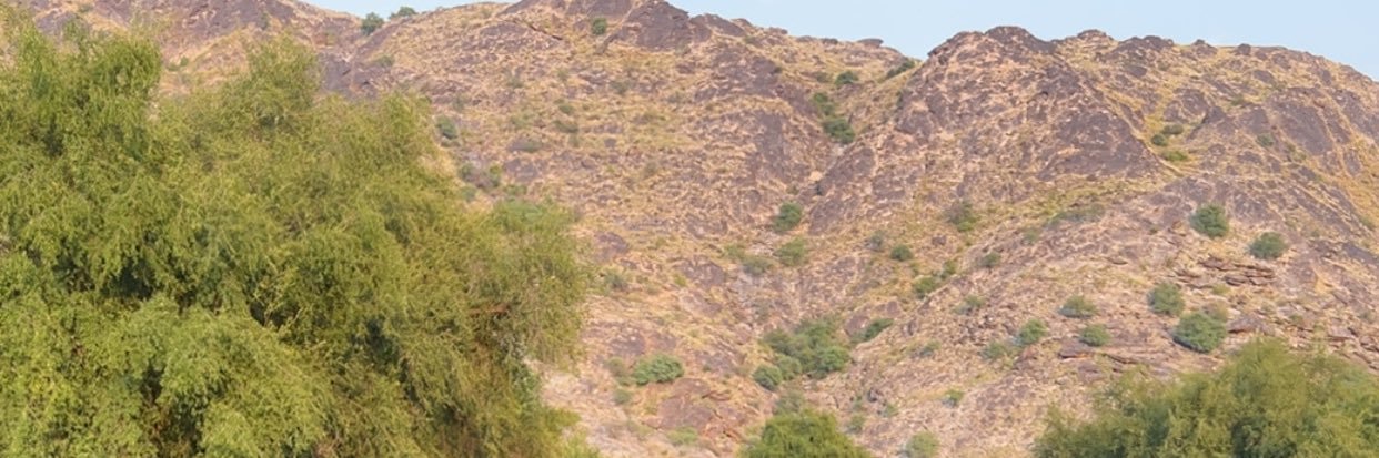 AB882211's profile banner image