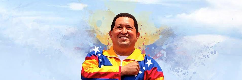 WandaRevolucion's profile banner image