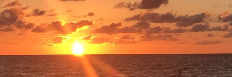 MaryBeeSuchy's profile banner image
