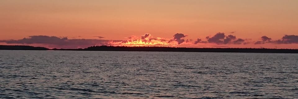 FVV736's profile banner image