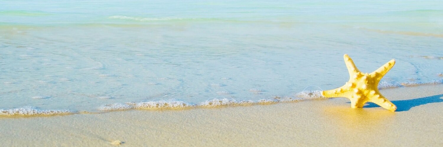 el_bee711's profile banner image