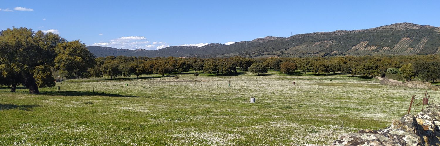 Bondcaseca Man banner