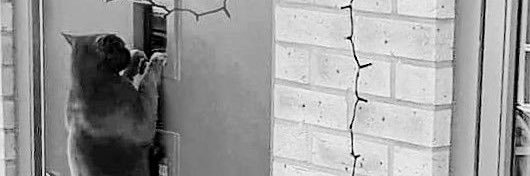 Off Beat Cinema ☕️ 🎥 banner