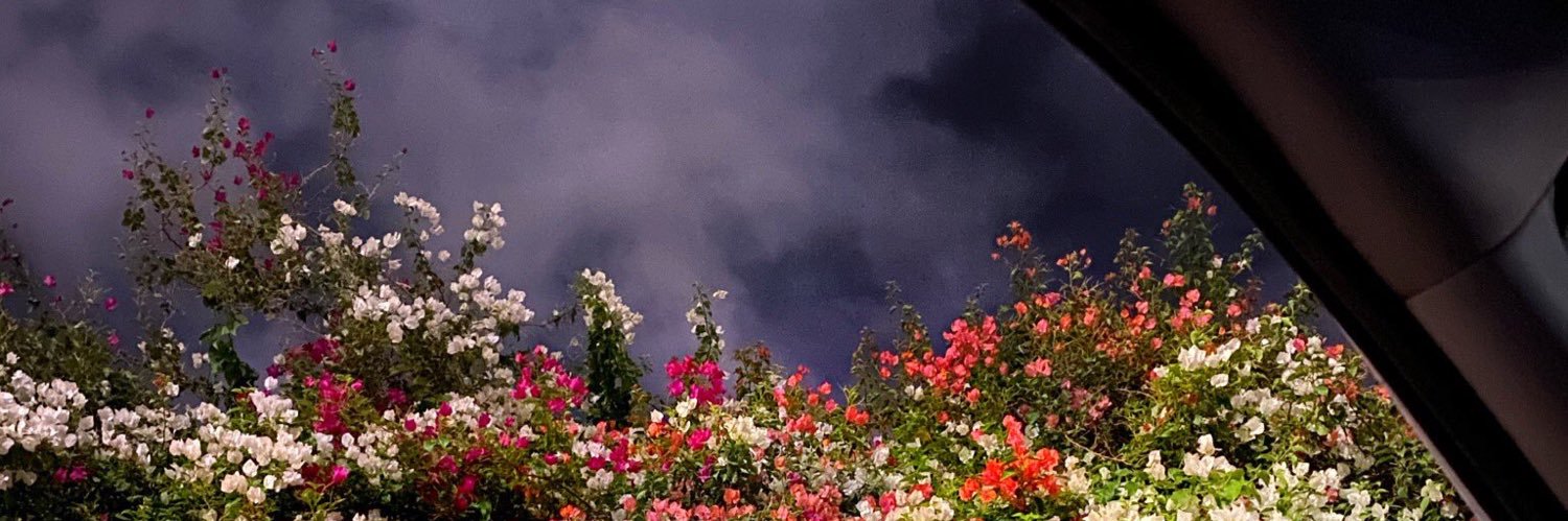 AlmansourAzhar's profile banner image