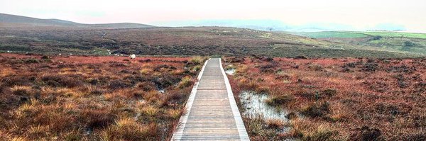 KarinCarthy Profile Banner