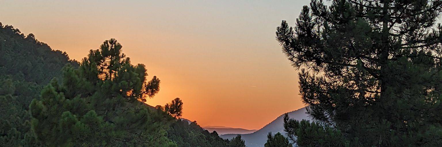 javiergsanchez_'s profile banner image