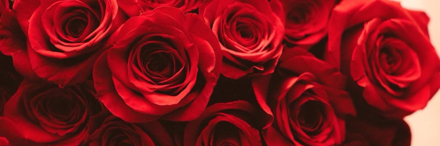 goryashina's profile banner image