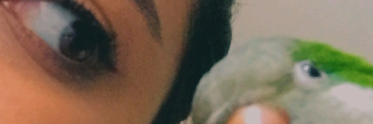 Antonellailin's profile banner image