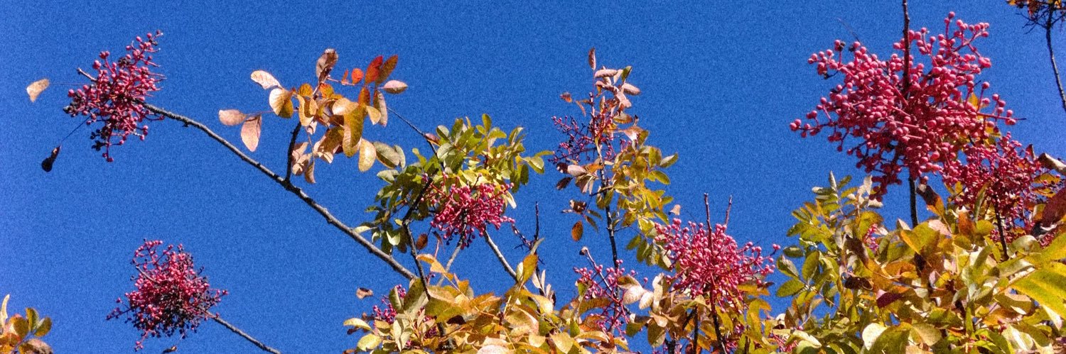 Tonistones's profile banner image