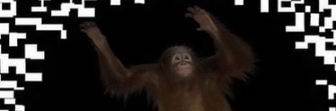 tannerjonesfl's profile banner image