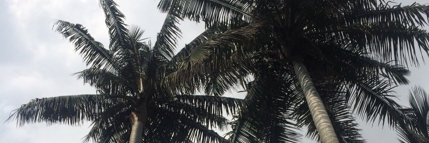 Matt_Korman's profile banner image