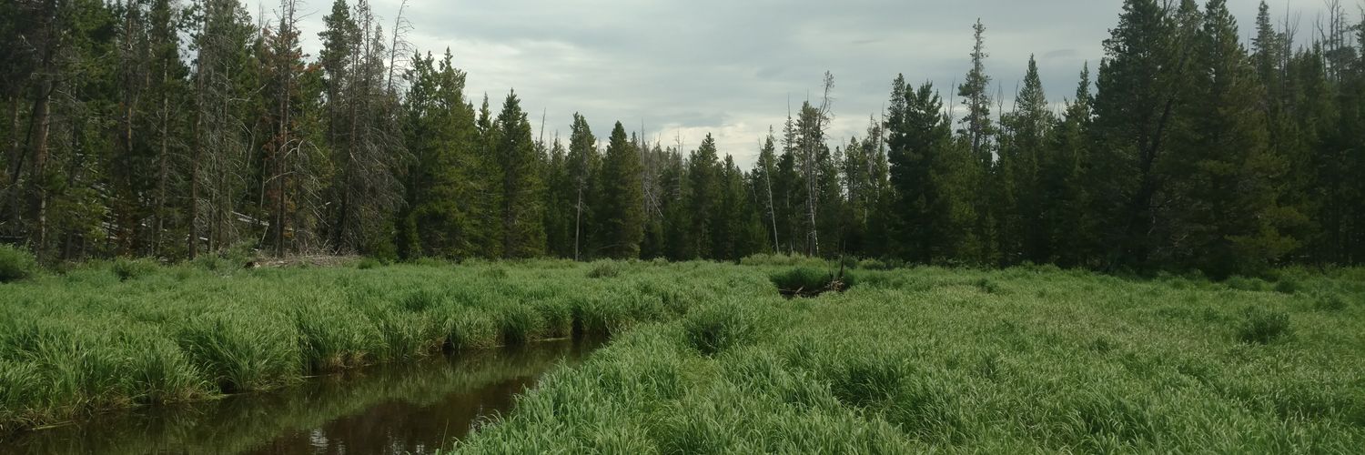 JWeck112's profile banner image