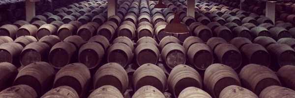 VineInspiration Profile Banner