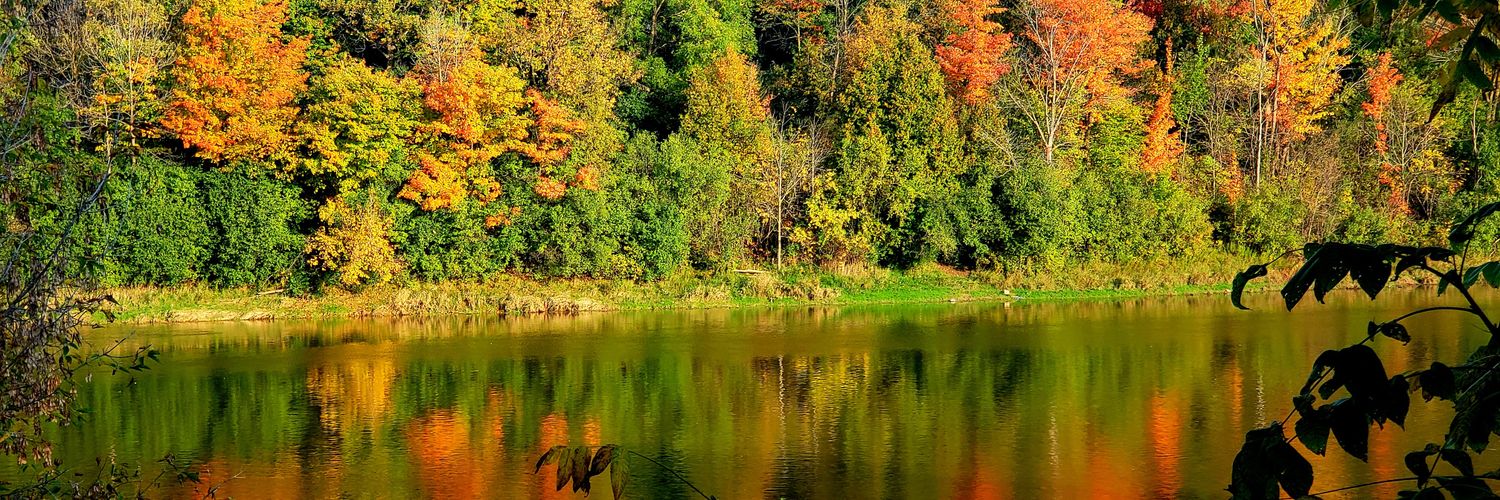 Donna Rogers banner