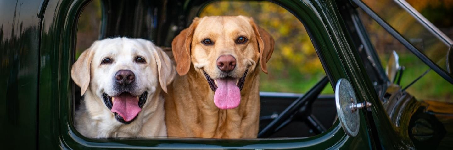 JohnHuff4's profile banner image