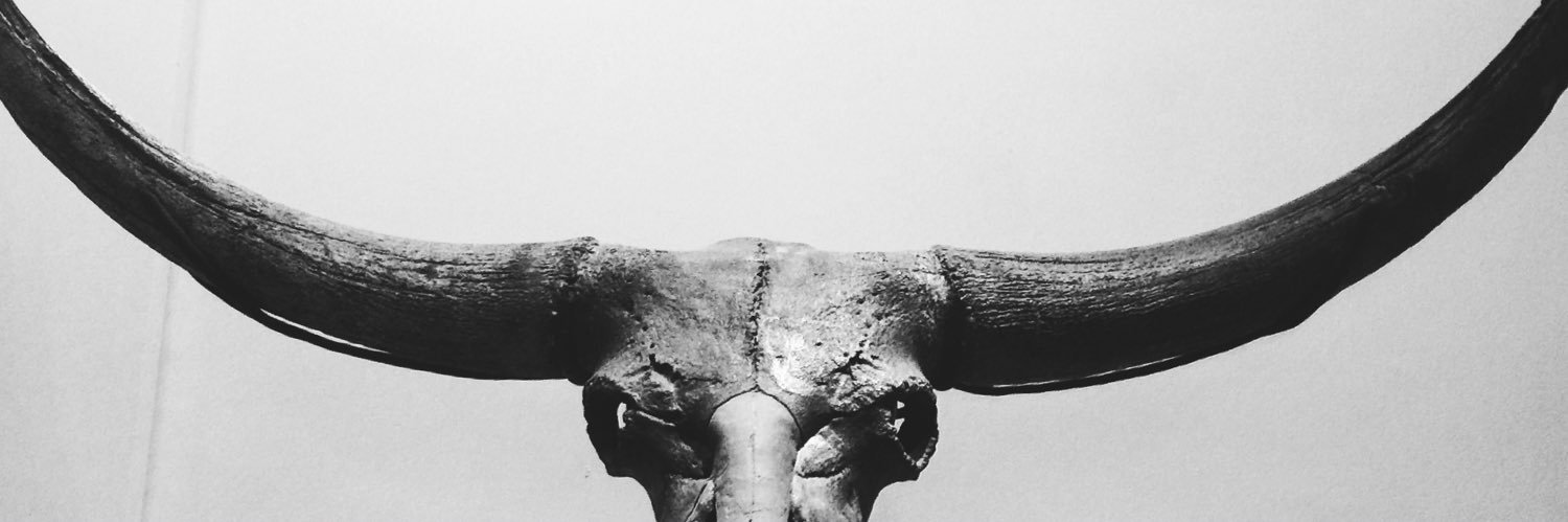 BINDUstudios's profile banner image