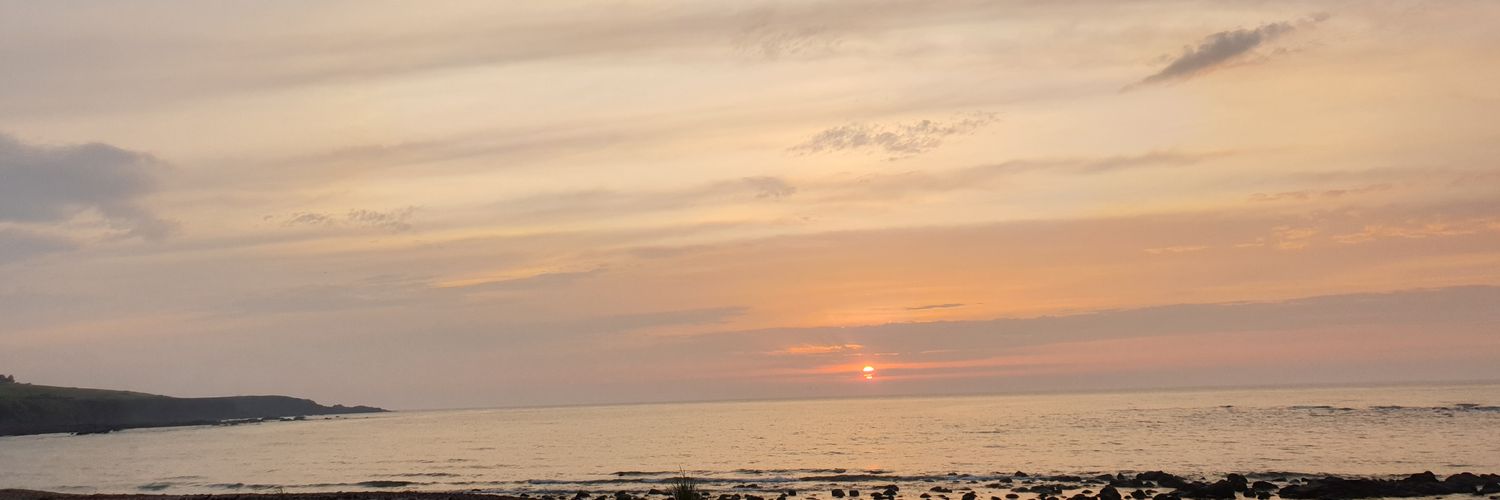 theroyalburgh's profile banner image