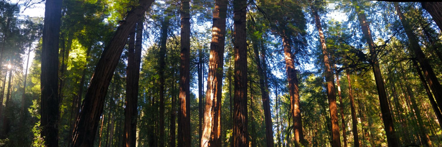 AmberFost's profile banner image