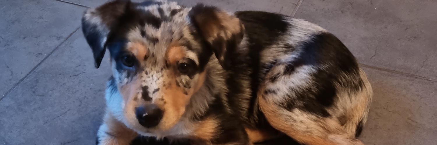 Gary Matthews banner