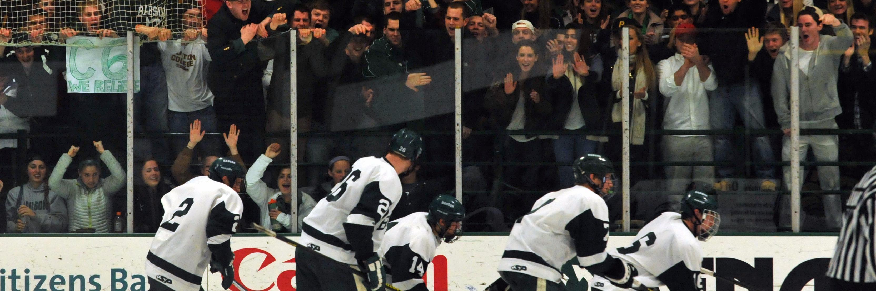 Babson Skating Rink banner