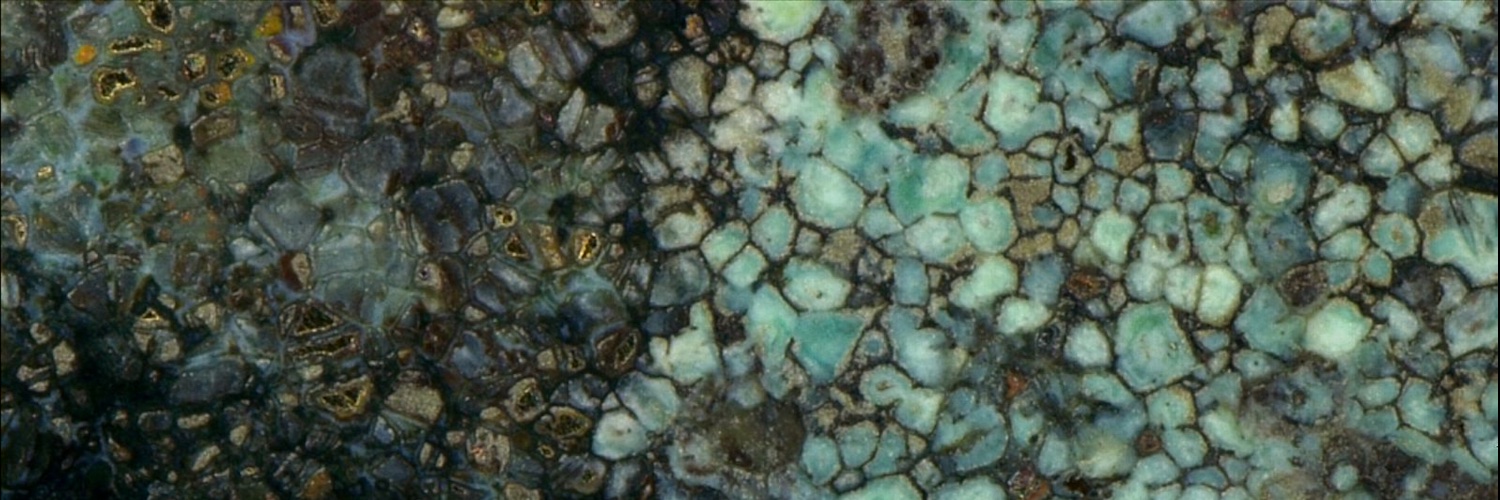 Chapis_Arano's profile banner image