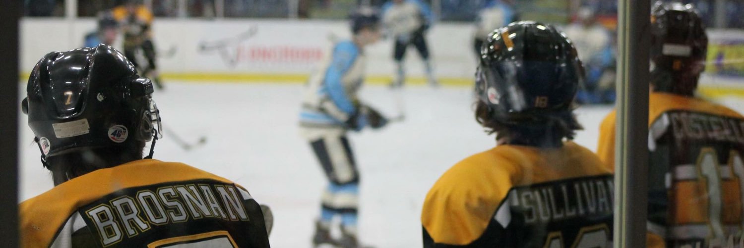 johnny politics banner