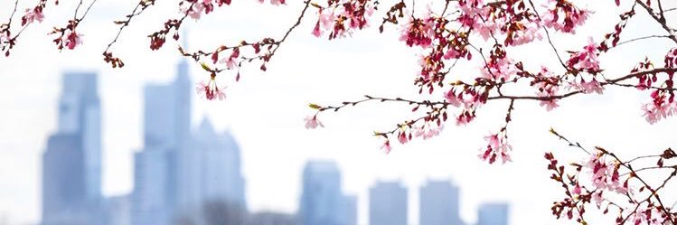 briannaspause's profile banner image