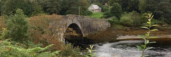 thesilvervoice Profile Banner