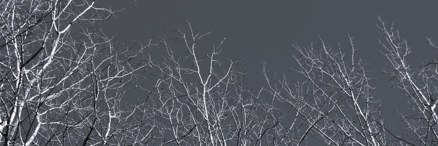 dan_devins's profile banner image