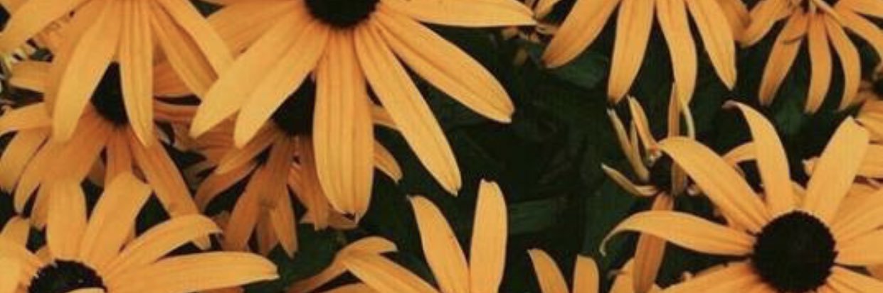 Autie_Stokes's profile banner image