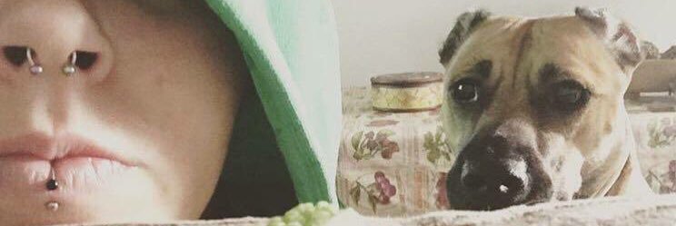 SmilingSharkG's profile banner image