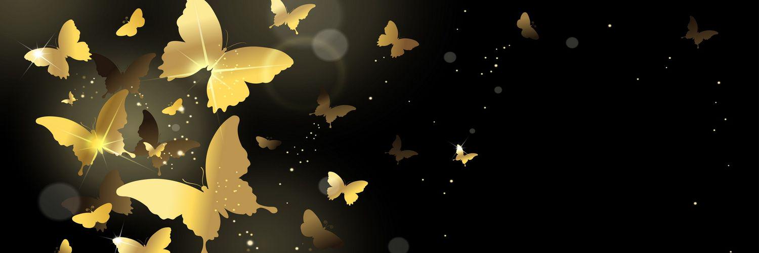 sunofflower889's profile banner image