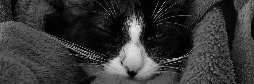 rafaelabaum_'s profile banner image