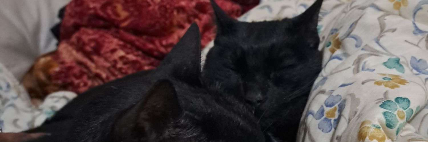 soybelsu's profile banner image
