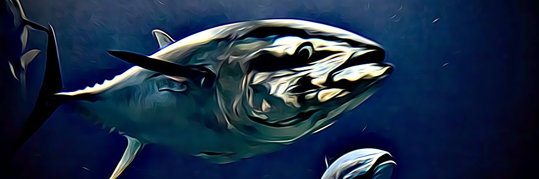 Laurenne Schiller banner