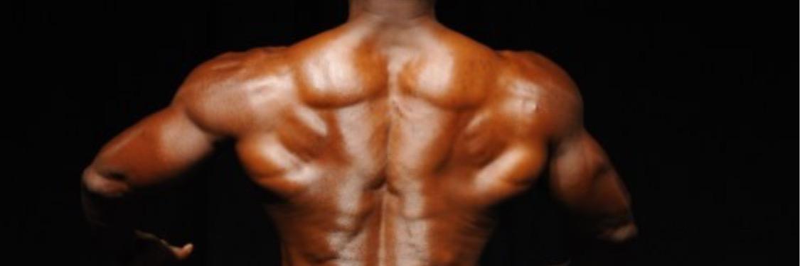 614Wolverine's profile banner image