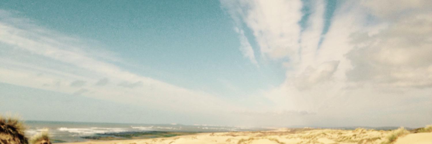 sus_pension's profile banner image