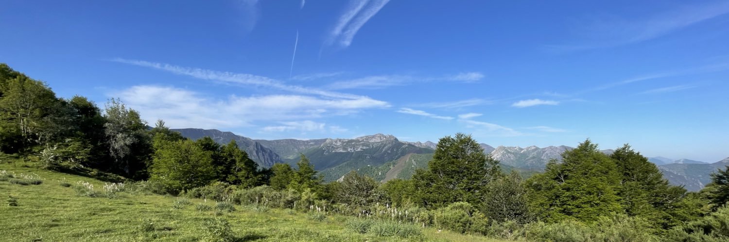 YONOSOYBORJINA's profile banner image
