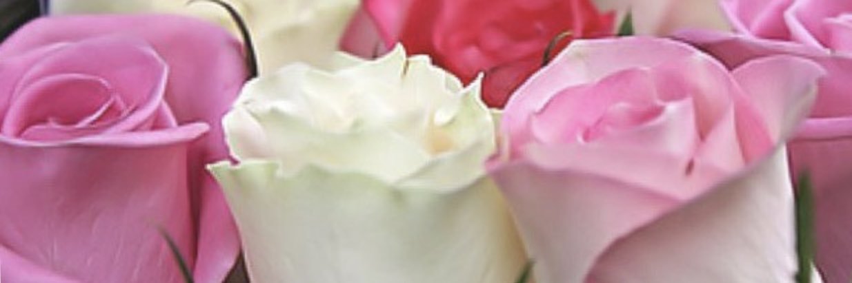 _daaaaana_'s profile banner image
