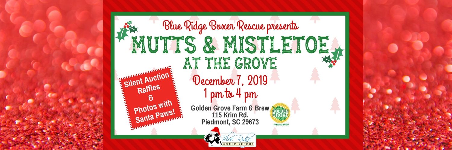 BlueRidgeBoxerRescue banner