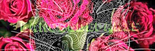LaRoseBsb's profile banner image